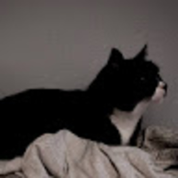 Meet your Posher, Lewis - Picture 1 of 1